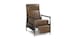 Leather Recliner