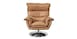 Swivel Arm Chair