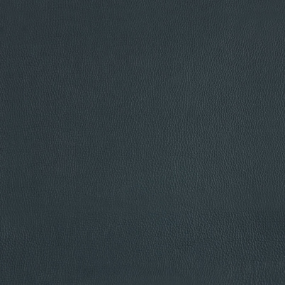Navy Navy