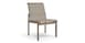 Side Chair