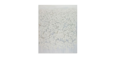 Field of Flowers