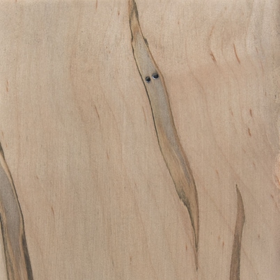 Fawn Maple Fawn Maple