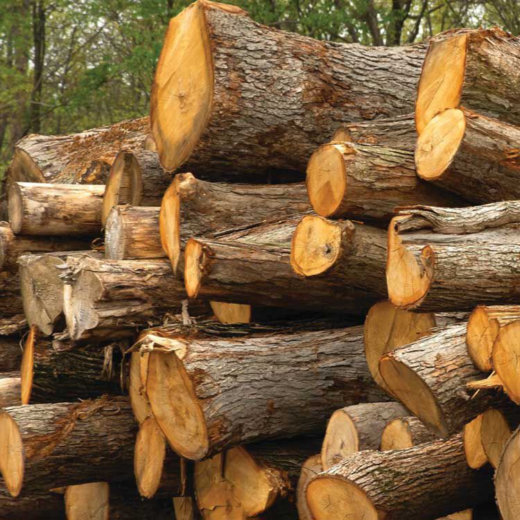 stack of logs stack of logs